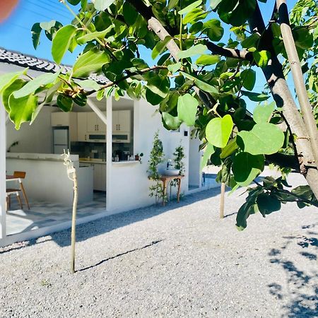 Airport Blue Eye Apartment Dalaman Best Location Also Suitable For Day Rentals Ideal For Air Travelers, 5 Km Close To Airport Esterno foto